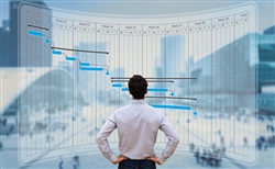 مدیریت پروژه